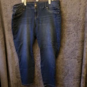 Torrid Skinny Jean 22R